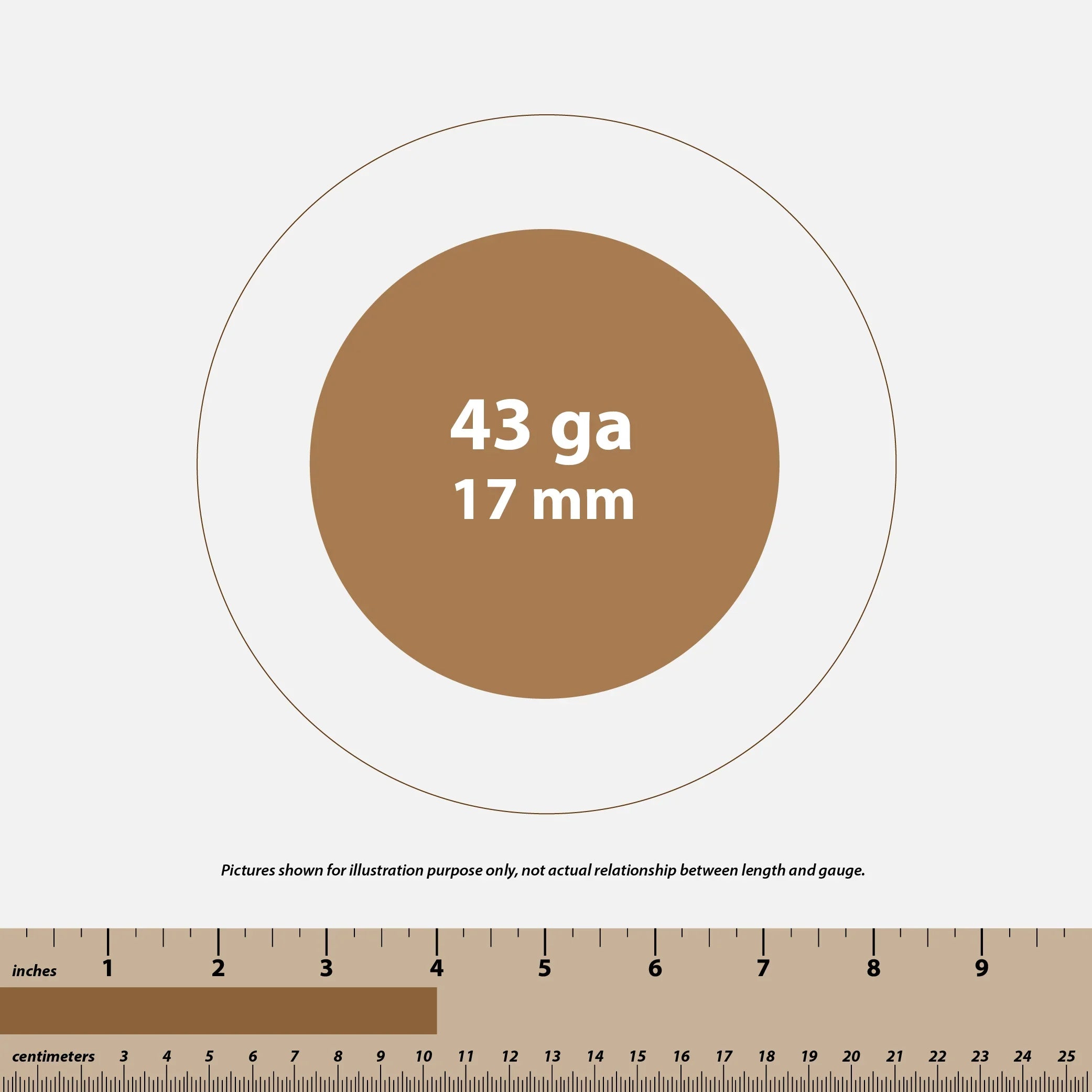 Brown circle labeled 43 ga 17 mm with inch and centimeter rulers below on white background
